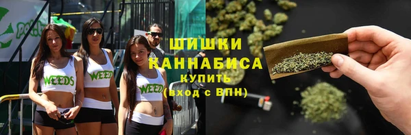 дурь Каменка