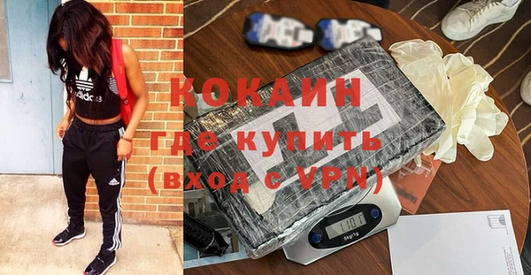 дурь Каменка