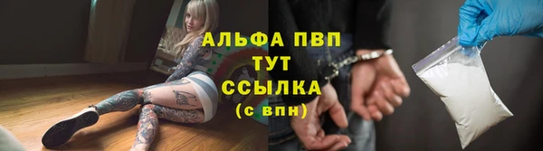 дурь Каменка