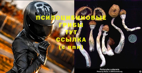 дурь Каменка