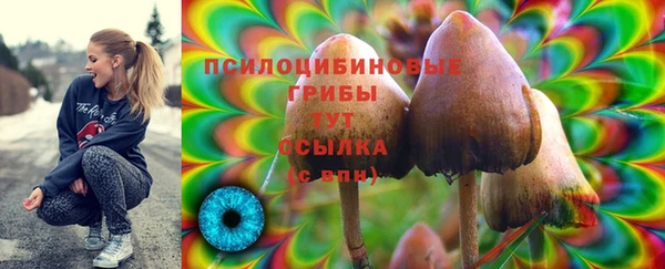 дистиллят марихуана Каменногорск