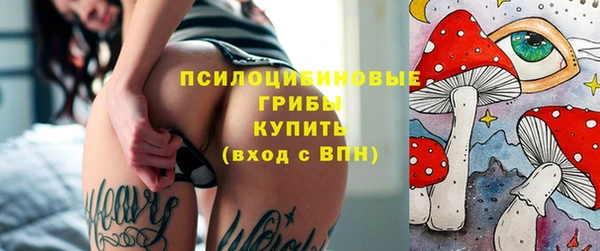 дурь Каменка