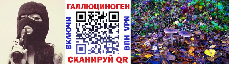 Псилоцибиновые грибы Magic Shrooms  Купить  Ясный 